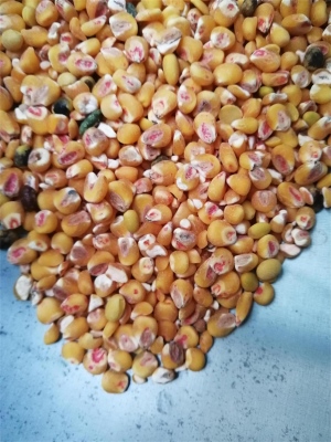 去黄瓜导航在线观看藥種子包衣外皮去皮機